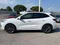 Ford Kuga 2.5 Plug In Hybrid 225 CV CVT 2WD ST-Line Bianco - thumbnail 3