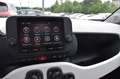 Fiat Panda 4x2 FireFly Hybrid 70 Pandina Weiß - thumbnail 11