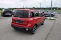 Fiat Panda 4x2 FireFly Hybrid 70 Pandina Weiß - thumbnail 3