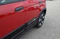 Fiat Panda 4x2 FireFly Hybrid 70 Pandina Weiß - thumbnail 6