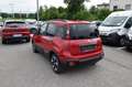 Fiat Panda 4x2 FireFly Hybrid 70 Pandina Weiß - thumbnail 4