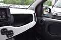 Fiat Panda 4x2 FireFly Hybrid 70 Pandina Weiß - thumbnail 13
