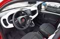 Fiat Panda 4x2 FireFly Hybrid 70 Pandina Weiß - thumbnail 8