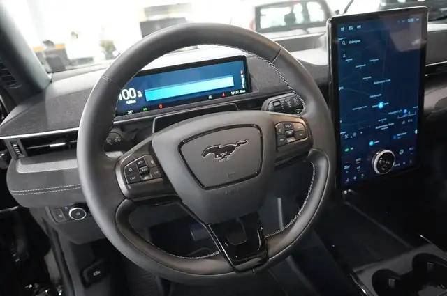 Ford Mustang Mach-E view 24