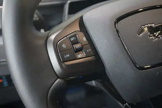 Ford Mustang Mach-E view 27