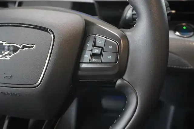 Ford Mustang Mach-E view 26