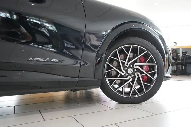Ford Mustang Mach-E view 9
