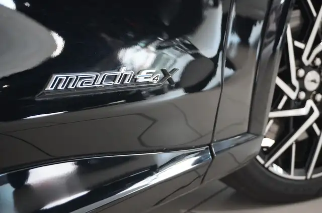 Ford Mustang Mach-E view 10