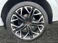 CUPRA Terramar 2.0 TSI VZ 4DRIVE*LED*DAB*NAVI*AHK*20 ZOL Weiß - thumbnail 18