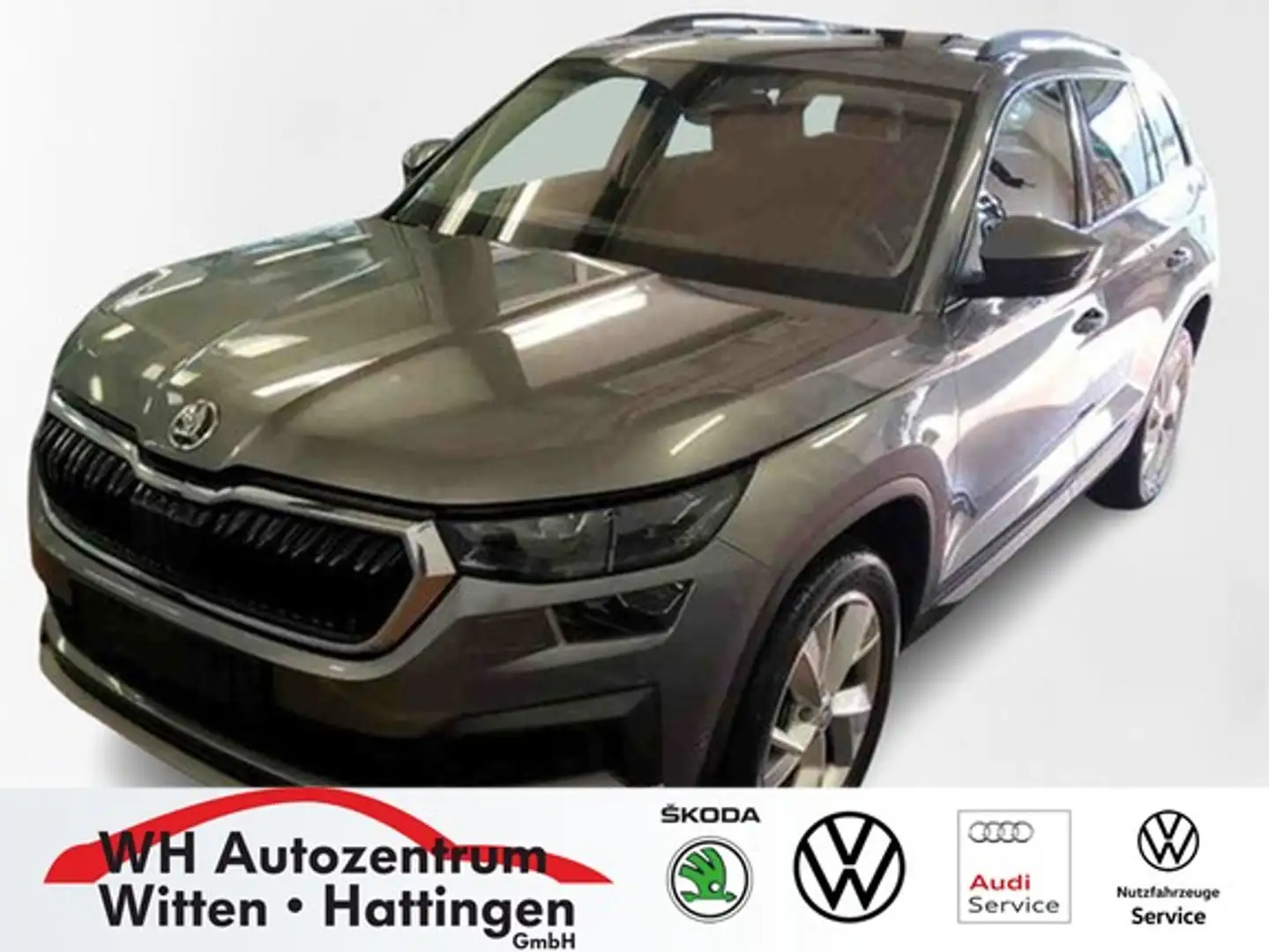 Skoda Kodiaq 2.0 TDI DSG 4x4 Tour PANORAMA STANDHZG AHK AREA... Grau - 1