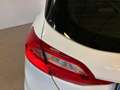 Ford Fiesta Fiesta 1.5 EcoBlue 5 porte Business Wit - thumbnail 18
