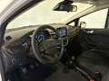 Ford Fiesta Fiesta 1.5 EcoBlue 5 porte Business Wit - thumbnail 12