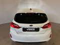 Ford Fiesta Fiesta 1.5 EcoBlue 5 porte Business Wit - thumbnail 5