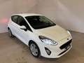 Ford Fiesta Fiesta 1.5 EcoBlue 5 porte Business Wit - thumbnail 16