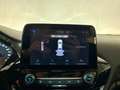 Ford Fiesta Fiesta 1.5 EcoBlue 5 porte Business Wit - thumbnail 10