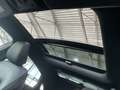 Ford Puma Mild-Hyb*ST-Line X*Pano*LED*ACC*Navi R.Cam Rot - thumbnail 19