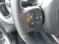 Fiat Panda 4x2 FireFly Hybrid 70 City Life Grau - thumbnail 19