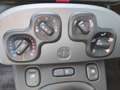 Fiat Panda 4x2 FireFly Hybrid 70 City Life Grau - thumbnail 20