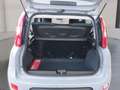 Fiat Panda 4x2 FireFly Hybrid 70 City Life Grau - thumbnail 12