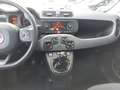 Fiat Panda 4x2 FireFly Hybrid 70 City Life Grau - thumbnail 9