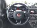 Fiat Panda 4x2 FireFly Hybrid 70 City Life Grau - thumbnail 13