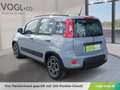 Fiat Panda 4x2 FireFly Hybrid 70 City Life Grau - thumbnail 3