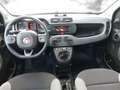 Fiat Panda 4x2 FireFly Hybrid 70 City Life Grau - thumbnail 4