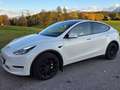 Tesla Model Y Model Y Long Range AWD 79kWh Weiß - thumbnail 1