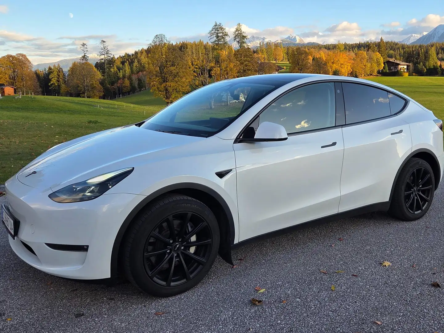 Tesla Model Y Model Y Long Range AWD 79kWh Weiß - 1