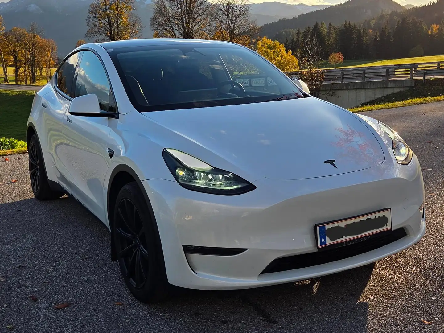 Tesla Model Y Model Y Long Range AWD 79kWh Weiß - 2
