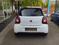 smart forFour Forfour 1.1 Pulse c/clima Bianco - thumbnail 9