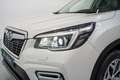 Subaru Forester 2.0i Hybrid Executive Plus CVT Blanco - thumbnail 10