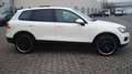 Volkswagen Touareg V6 TDI! OFFROAD-PAKET!AHK-3500KG! TOP ! Bianco - thumbnail 18