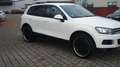 Volkswagen Touareg V6 TDI! OFFROAD-PAKET!AHK-3500KG! TOP ! Bianco - thumbnail 11