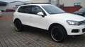 Volkswagen Touareg V6 TDI! OFFROAD-PAKET!AHK-3500KG! TOP ! Bianco - thumbnail 15