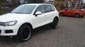 Volkswagen Touareg V6 TDI! OFFROAD-PAKET!AHK-3500KG! TOP ! Bianco - thumbnail 10