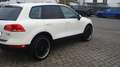 Volkswagen Touareg V6 TDI! OFFROAD-PAKET!AHK-3500KG! TOP ! Bianco - thumbnail 17