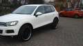 Volkswagen Touareg V6 TDI! OFFROAD-PAKET!AHK-3500KG! TOP ! Bianco - thumbnail 12