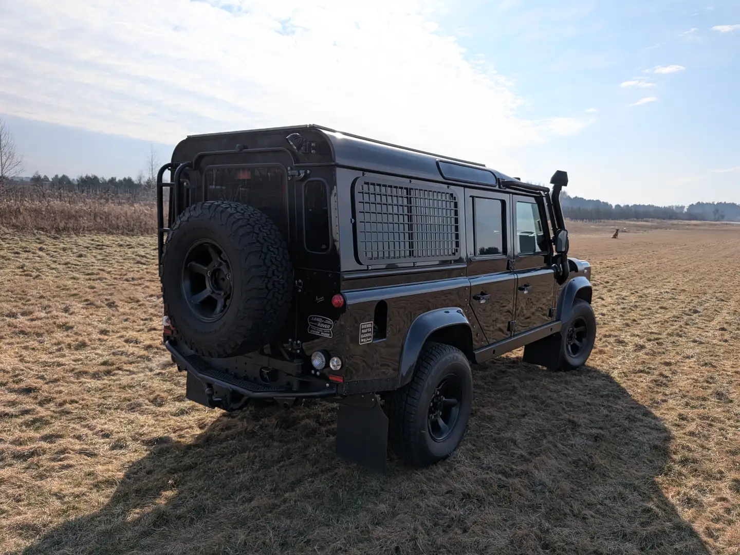 Land Rover Defender Defender 110 DPF Station Wagon SE - 1