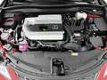 Lexus UX 250h F-Sport Design Limited | BTW-Auto | Carplay | Stoe Rot - thumbnail 35