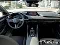 Mazda 3 EXCLUSIVE-LINE MODELL DESIGN+DRIVERASSISTANCE PAKE Noir - thumbnail 11