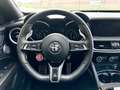 Alfa Romeo Stelvio Stelvio 2020 2.9 V6 Quadrifoglio Q4 510cv auto Verde - thumbnail 8