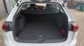 Volkswagen Golf VIII Variant 2.0 TDI *NAVI*ACC*CAM*SHZ*AHK Weiß - thumbnail 8