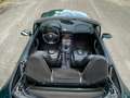 BMW Z3 M Z3 Roadster 3.2 - Bostongrun - SPETTACOLARE Verde - thumbnail 10