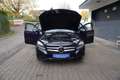 Mercedes-Benz C 250 C 250d T BlueTec 4Matic NAVI+PANO+KAMERA+AHK+ALU Albastru - thumbnail 10