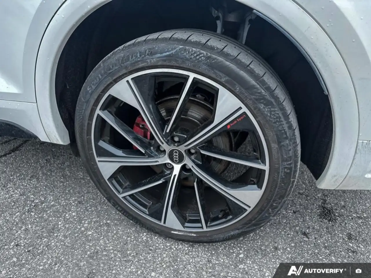 Audi SQ5 снимка Audi SQ5