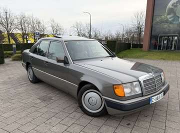 D W124