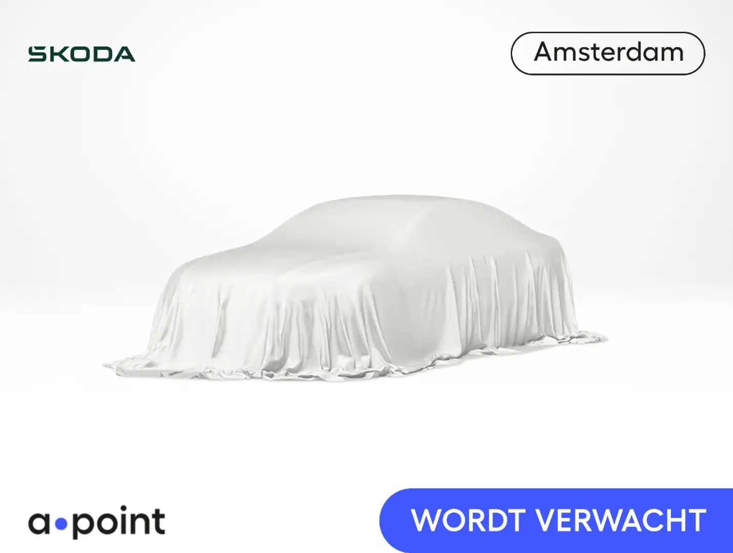 Skoda Enyaq iV 80 Founders Edition Silver 204pk | Panoramadak Grau - 1
