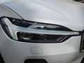 Volvo XC60 T6 Recharge Inscription *HUD*SH*ACC*Harman* Weiß - thumbnail 27