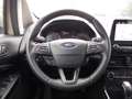 Ford EcoSport Titanium AHK Navi el. SD zus. WR Beige - thumbnail 20